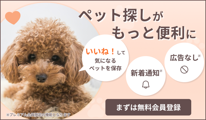 ユーザー登録