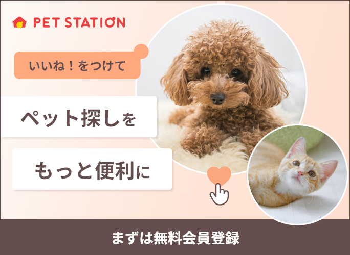ユーザー登録