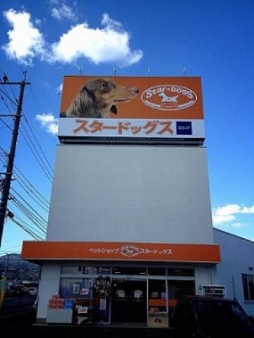 スタードッグス（鳥栖店・大牟田店・熊本店）