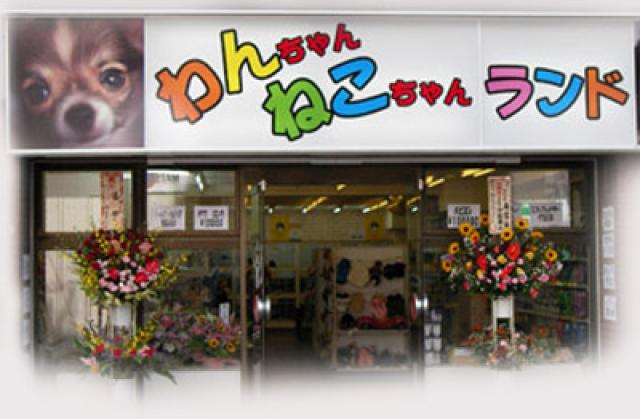 わんちゃんねこちゃんランド 　川崎本店
