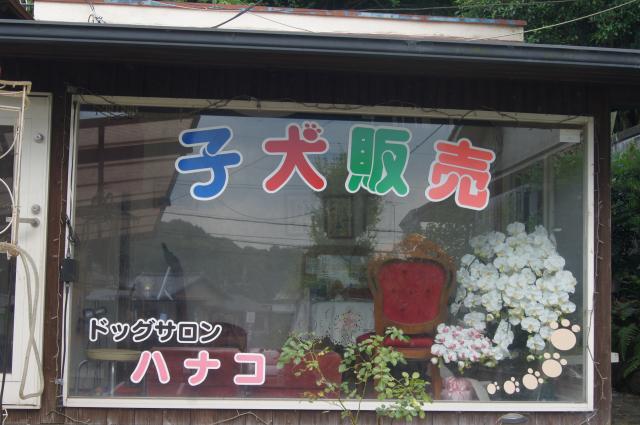 ブリーダーハウス花子