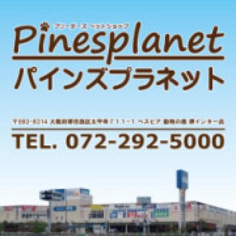 動物の森堺インター店