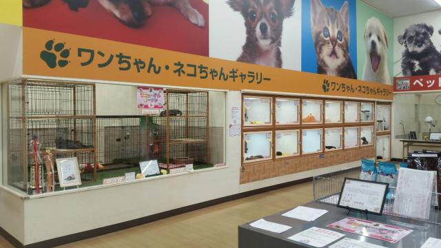 ペットコミュニティプラザ　ひたち野うしく店