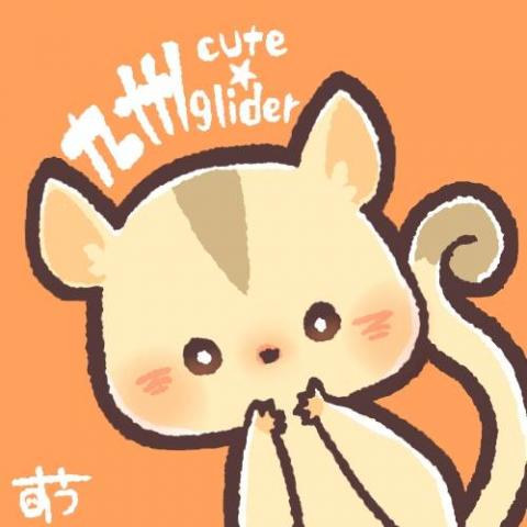 九州cute'glider