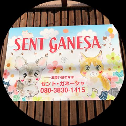 セント・ガネーシャ
