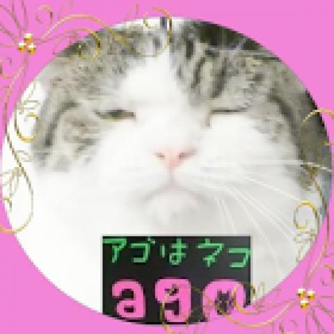 アゴはネコ ﾈｺ専門店代々木駅１分通常販売子猫・里親譲渡ネコ保護猫
