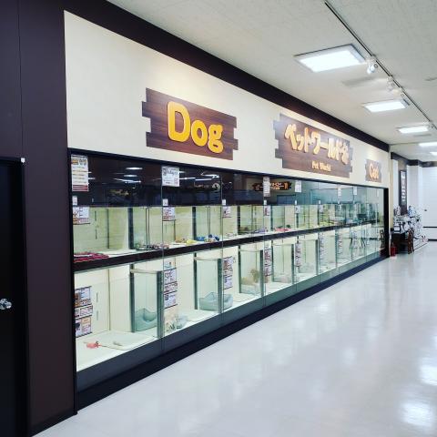 ディスワン稲沢平和店