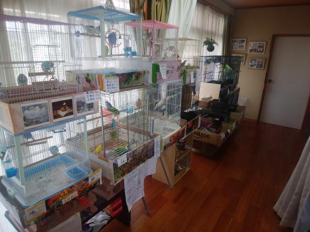 小鳥屋  さくら