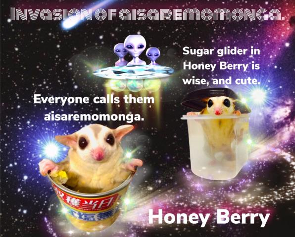 Honey Berry