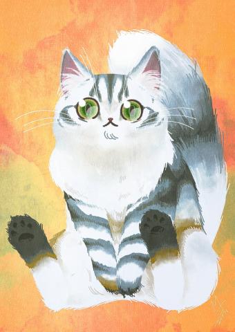 ふくはうすキャッテリー