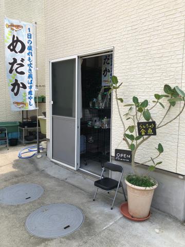 ペットショップ&ペットホテルのお店Happy（ハッピー）