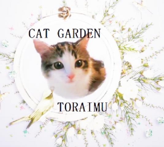 白猫 美猫  キャットガーデントライム