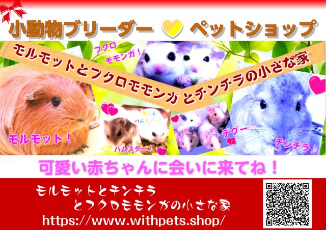 ?モルモットとフクロモモンガとチンチラの小さな家?