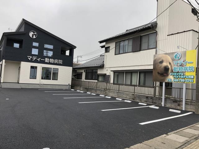マディーペット