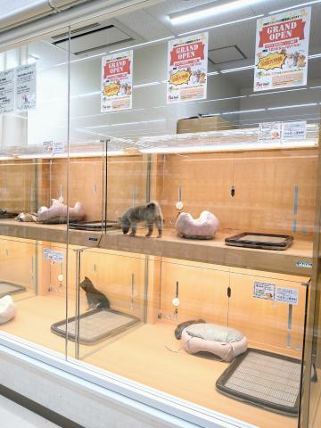 ペットアミ加茂店
