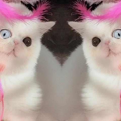 ☆美豆良みずらや☆
