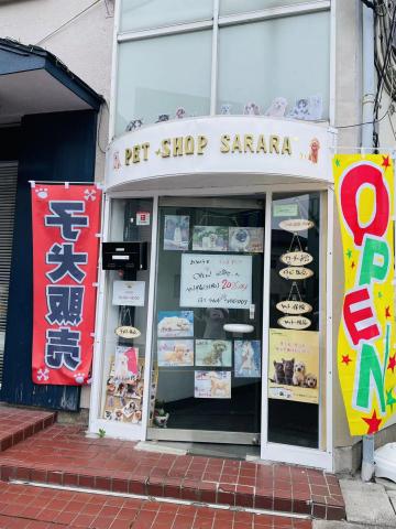 petshop sarara
