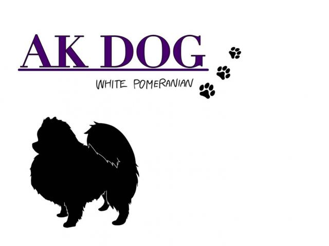 AK DOG
